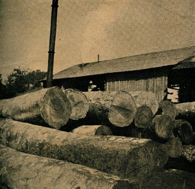 Serraria Santos Balani S.A., de Vitório Balani e Durval Francisco dos Santos |