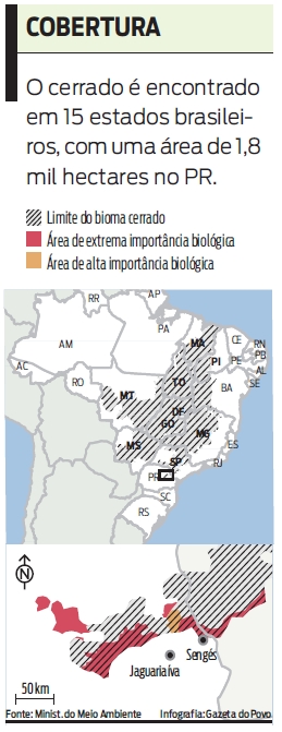 O cerrado é encontrado
em 15 estados brasileiros. Veja |