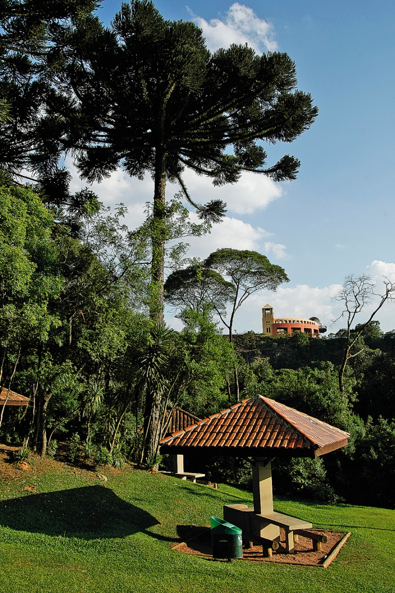 | Daniel Castellano/Gazeta do Povo