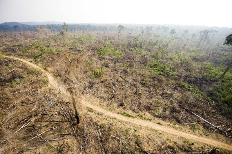 Pará: árvores são cortadas aos poucos e estrago só é detectado pelos satélites quando alcança proporções maiores | Antonio Scorza/AFP