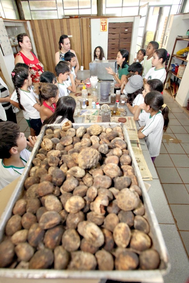 Estação Ecológica de Campo Mourão |