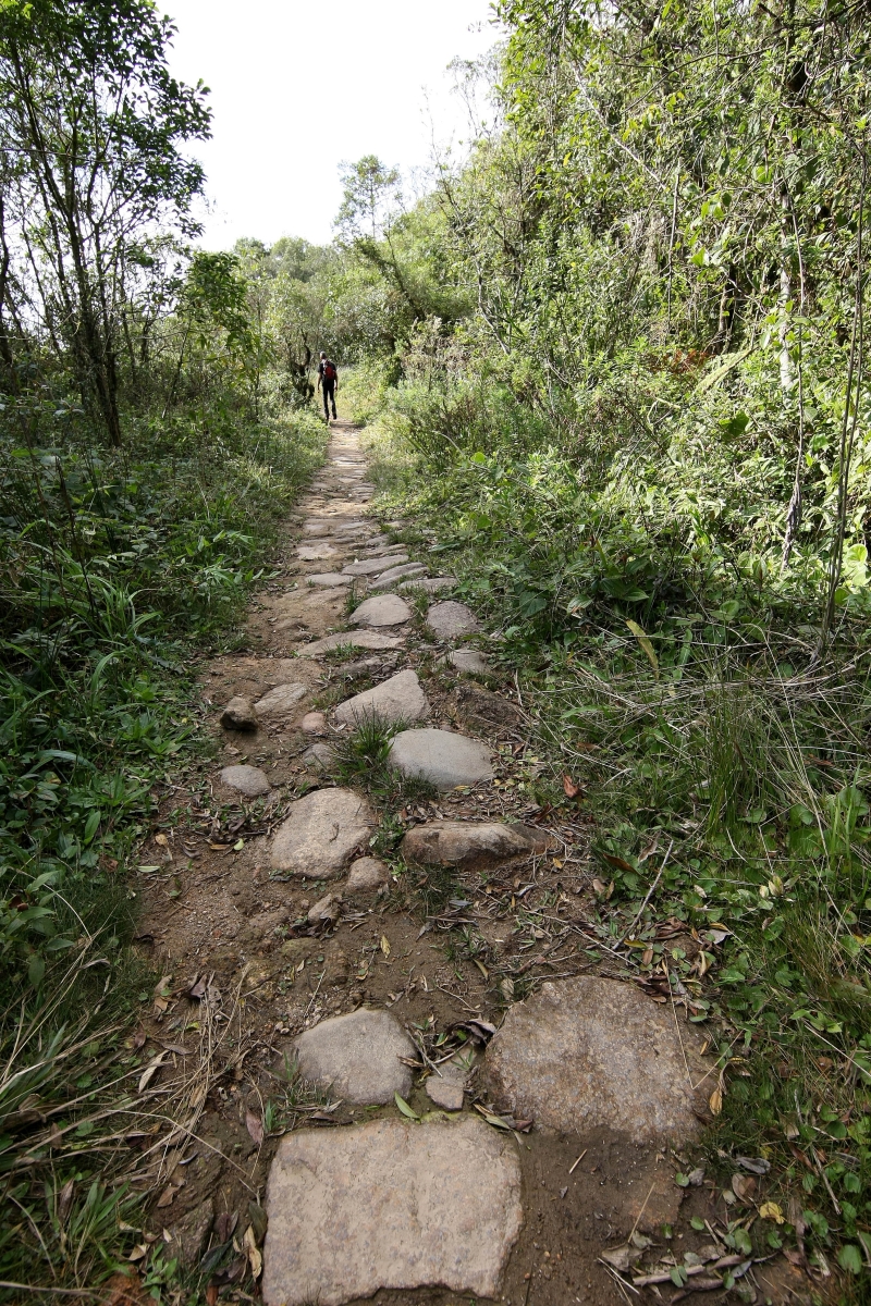 | Valterci dos Santos/Gazeta do Povo