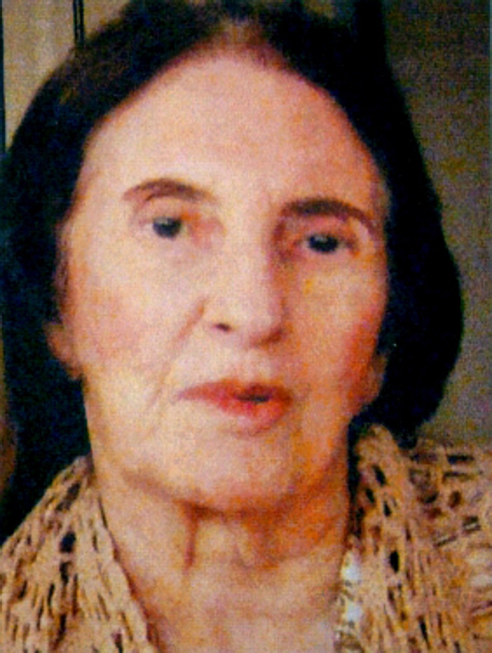  | Arquivo da família