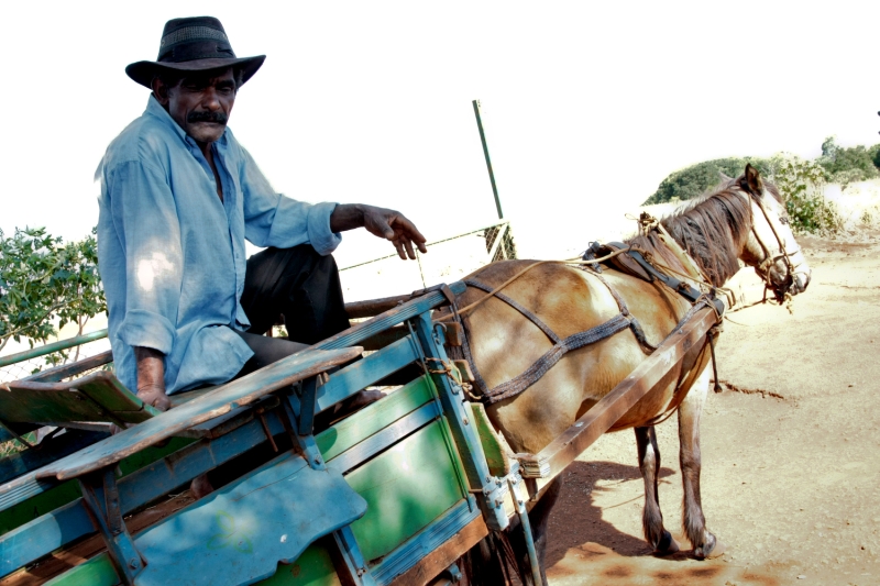 Otaviano Silva, 63 anos, vive acampado na beira da BR-369, em Cascavel: A esperança é ganhar um pedaço de terra aqui | Fotos: César Machado/Vale Press