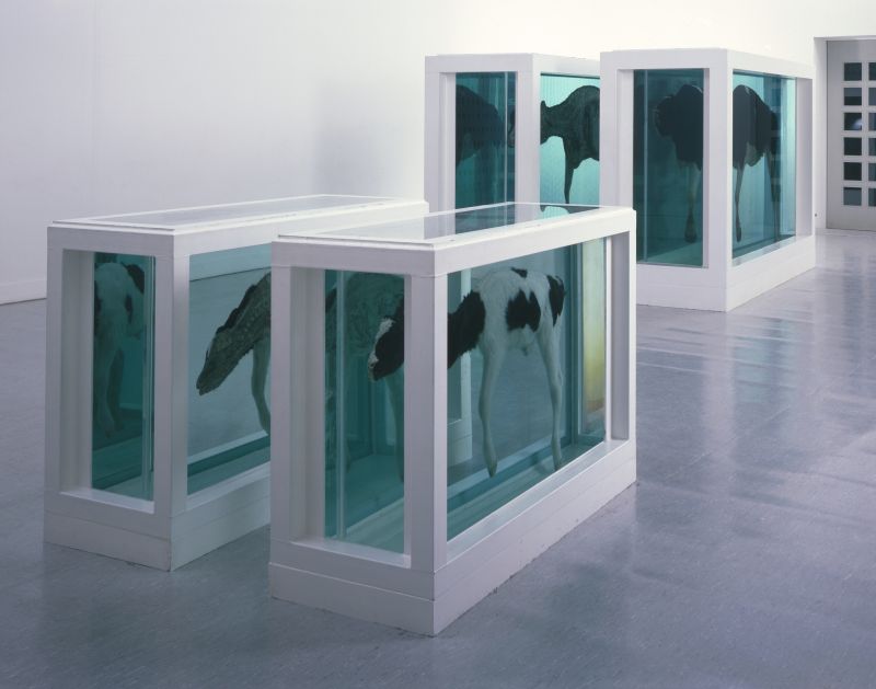 Mãe e Filho Divididos, do polêmico Damien Hirst: tom espetacular | Divulgação