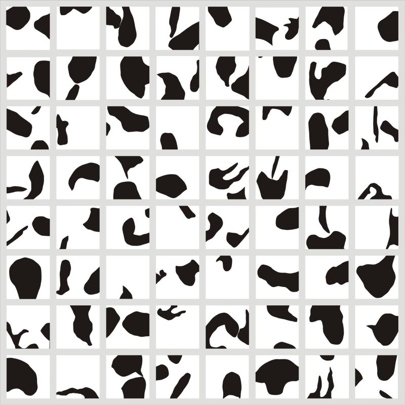 | Paulo Carapunarlo/Reprodução