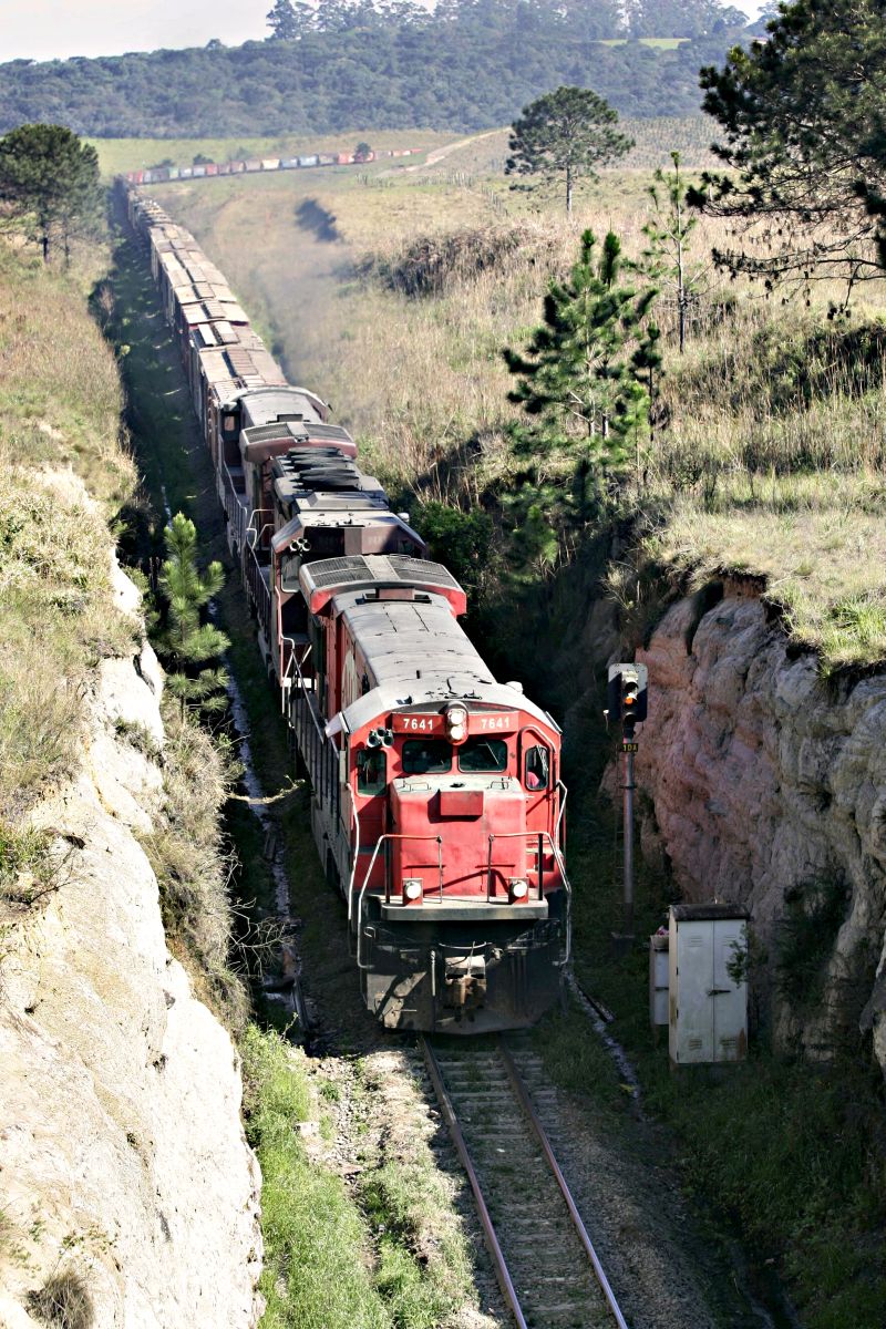 Estudo da Esalq identificou vários gargalos do modal ferroviário | Aniele Nascimento/ Gazeta do Povo
