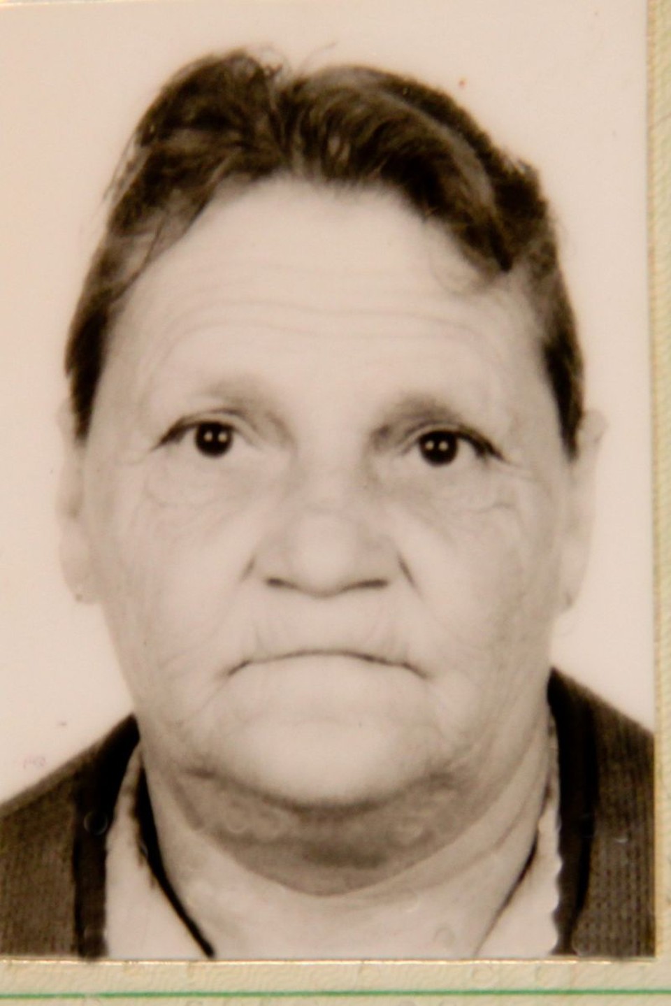  | Arquivo de família