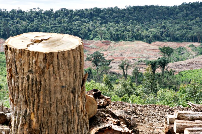 Entre outros pontos, a inclusão de limites para atividades em terrenos com mais de 25 graus de inclinação no projeto do Código Florestal desagrada aos produtores. Para ambientalistas, as mudanças são apenas cosméticas | Henry Milléo/ Gazeta do Povo