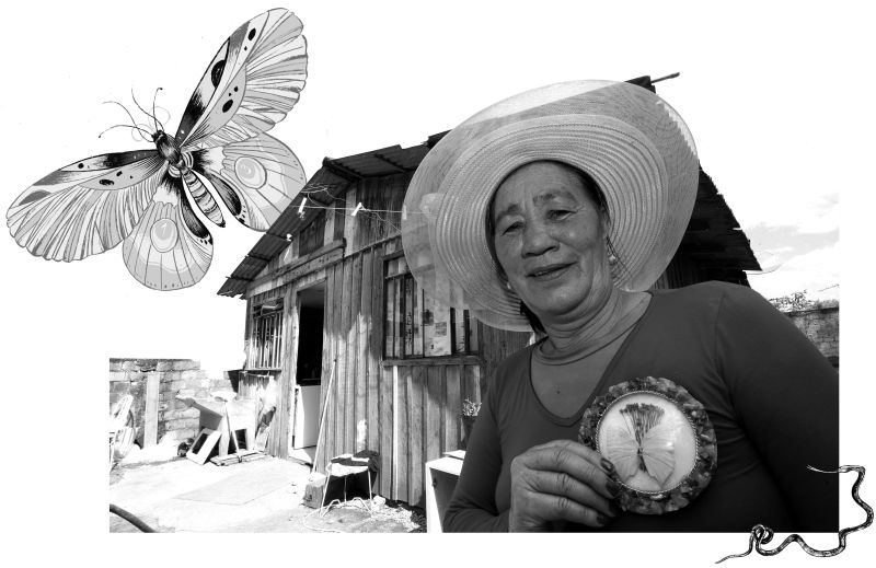 Foto: Ivonaldo Alexandre/Arte: Felipe Lima |