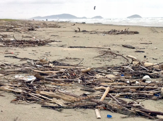 | Colaboração Antônio Carlos Nunes Jr.