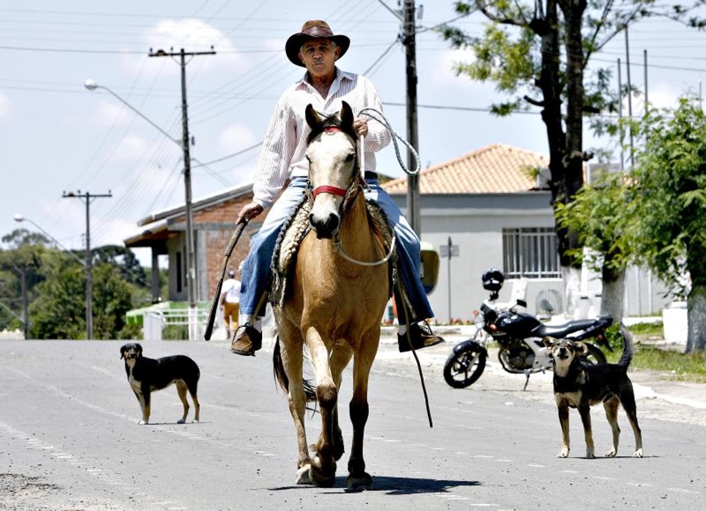 O lavrador aposentado Joaquim de Souza passa o dia na lavoura. Quando precisa de insumos, percorre quatro quilômetros a cavalo até o centro de Antônio Olinto