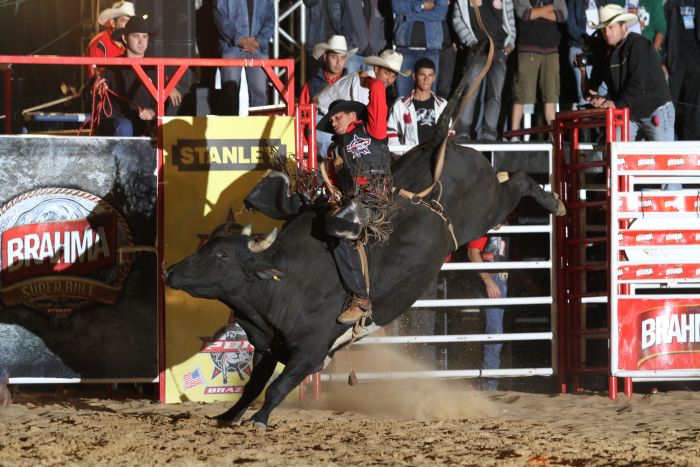 Curitiba recebe a antepenúltima etapa do Brahma Super Bull PBR. | Divulgação