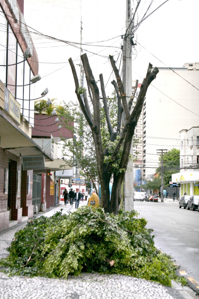 | Ângelo Mário Marchi