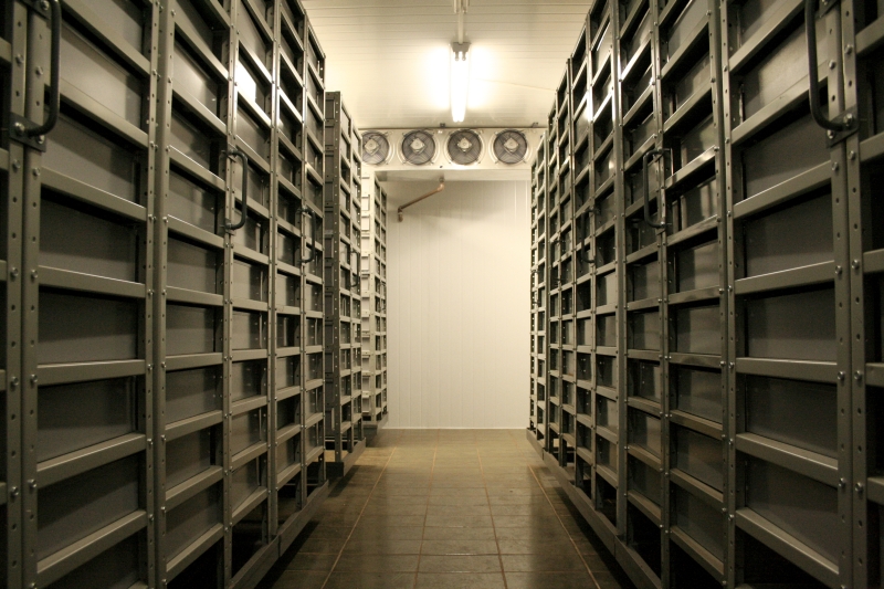 Na Embrapa Soja, que fica em Londrina, banco tem cerca de 30 mil sementes diferentes do grão: garantia de manutenção da flora brasileira | Fotos: Vanessa DallAgnol