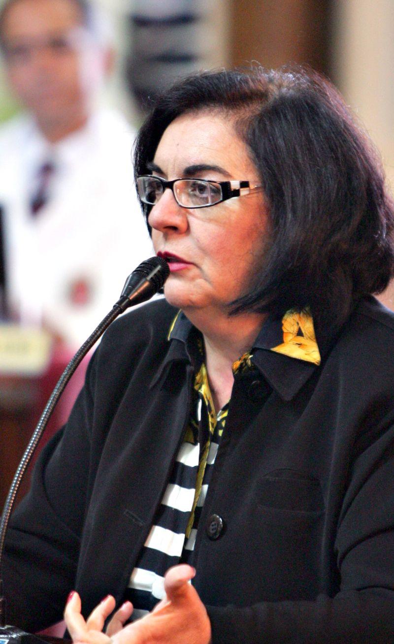 Nós não assinamos moção nenhuma porque acreditamos que todas as irregularidades devem ser investigadas. Isso é uma posição de bancada. Julieta Reis, líder do DEM na Câmara | Daniel Castellano/ Gazeta do Povo