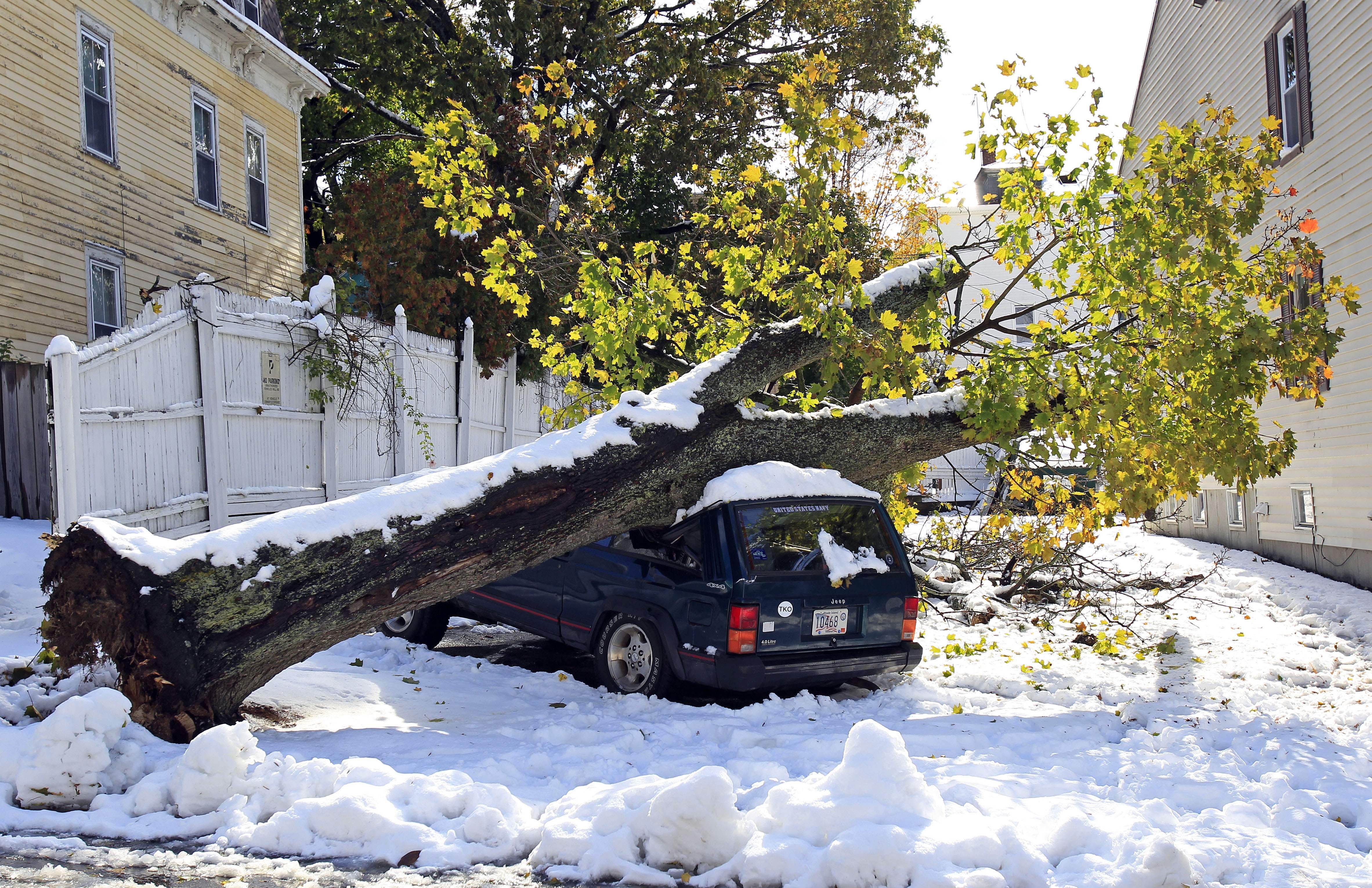 Árvore cai em cima de carro na cidade de Worcester, Massachusetts depois de nevasca | REUTERS/Adam Hunger