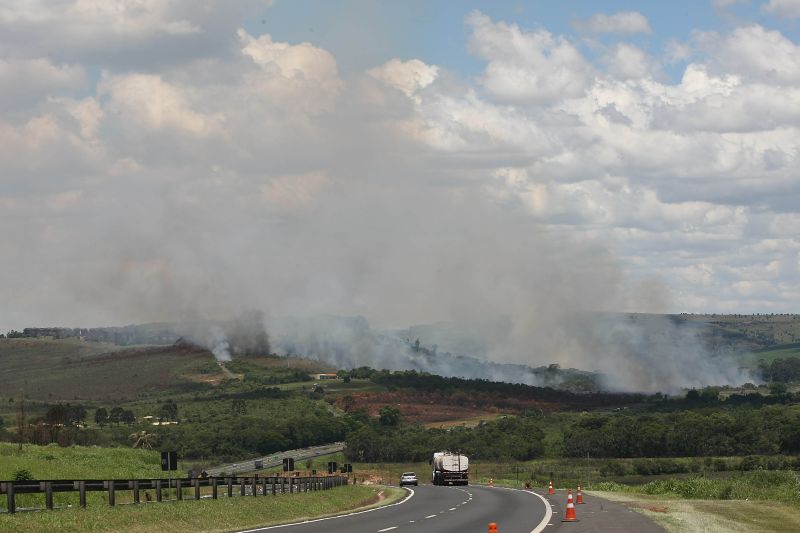 O incêndio tomou conta da área do parque, próximo à BR-376. Fogo foi controlado por volta das 17 horas desta quinta-feira (1º) | Ivonaldo Alexandre/Agência de Notícias Gazeta do Povo