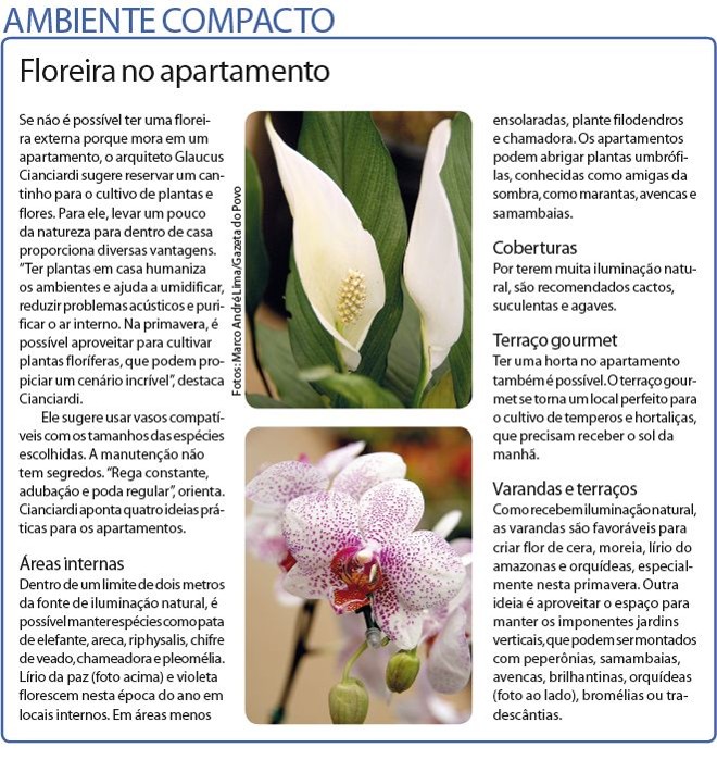 Confira algumas sugestões de floreiras no apartamento |