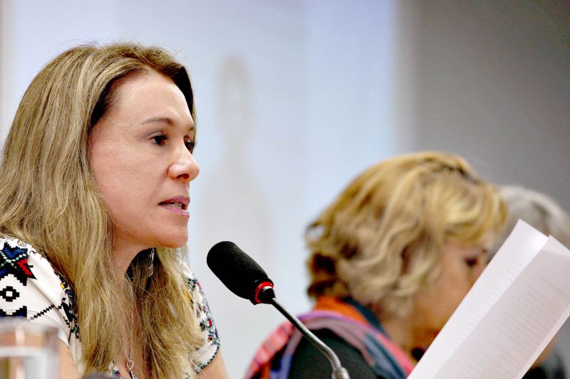 Teresa Surita, relatora do projeto na comissão especial da Câmara | Beto Barata/Agência Estado