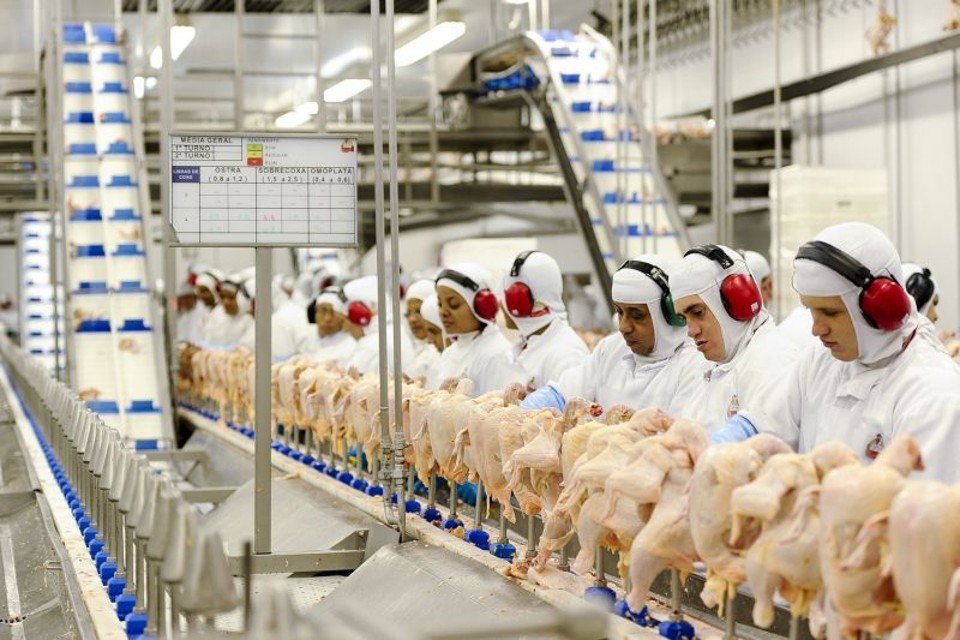 Diretores se dizem otimistas com a nova marca, que terá, no total, investimentos na ordem de R$ 50 milhões | Fábio Dias / Gazeta Maringá