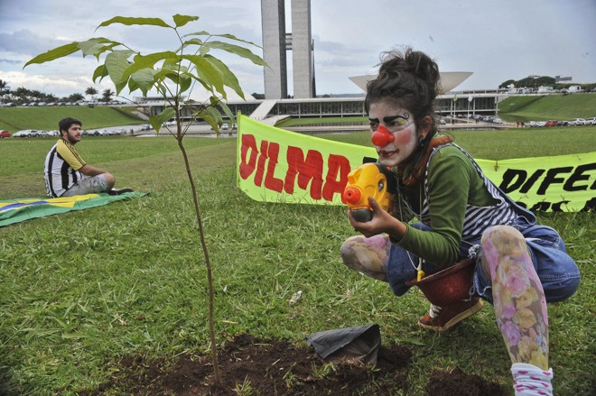 Manifestantes plantaram mudas de árvores no gramado em frente ao Congresso Nacional como forma de protesto contra a votação do Código Florestal | 
