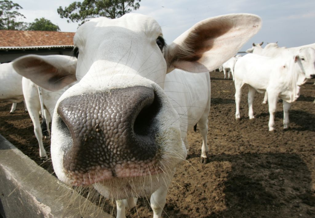 Governo Richa aprovou na Assembleia Legislativa a criação de três taxas para financiar a recém-criada Adapar |