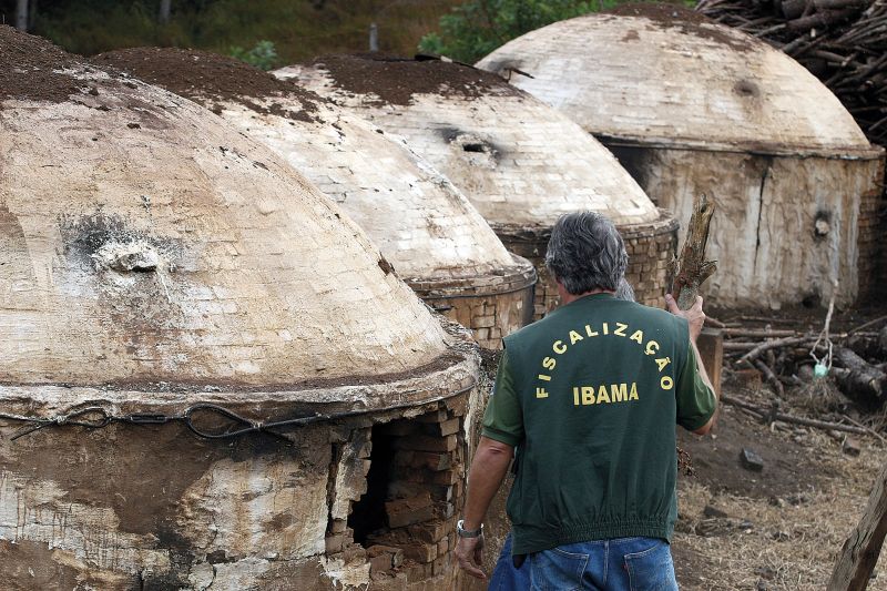 Ibama tem realizado pelo menos uma grande operação fiscalizatória por ano no Paraná, desde o desmatamento ilegal da mata nativa ao funcionamento irregular de carvoarias | Henry Milleo/ Gazeta do Povo