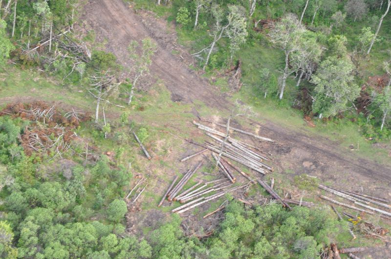 A operação Atlântico Verde, o Ibama, identificou 60 pontos de desmatamento no Paraná | Ibama/Divulgação