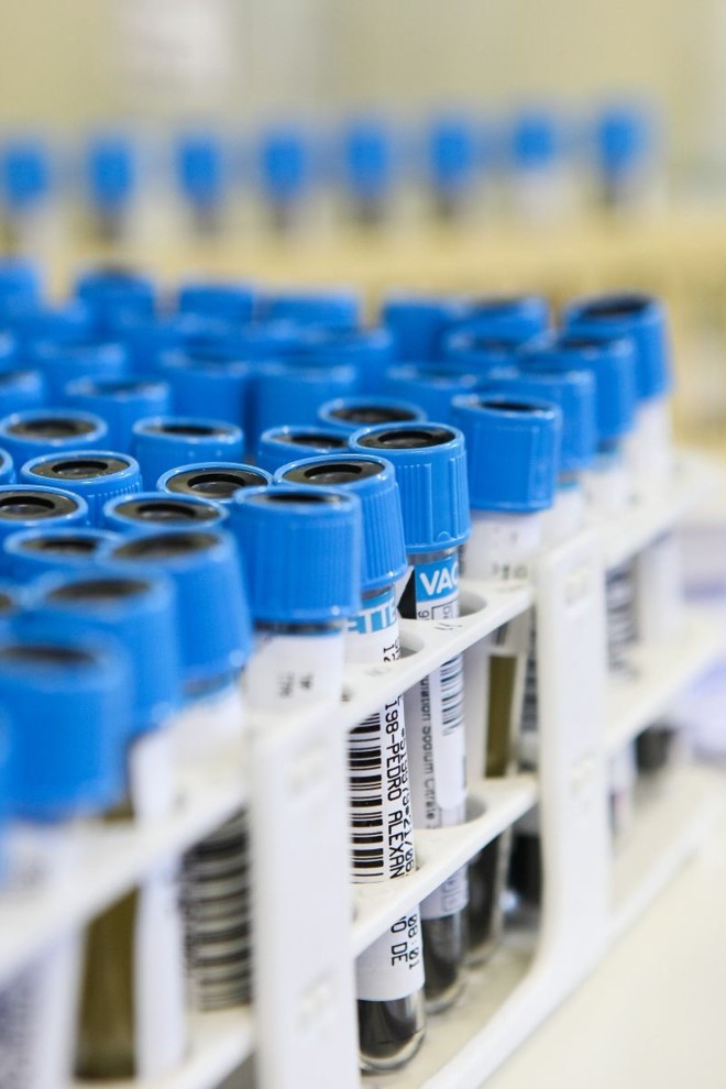 Análises clínicas deverão ser feitas em até três dias úteis |