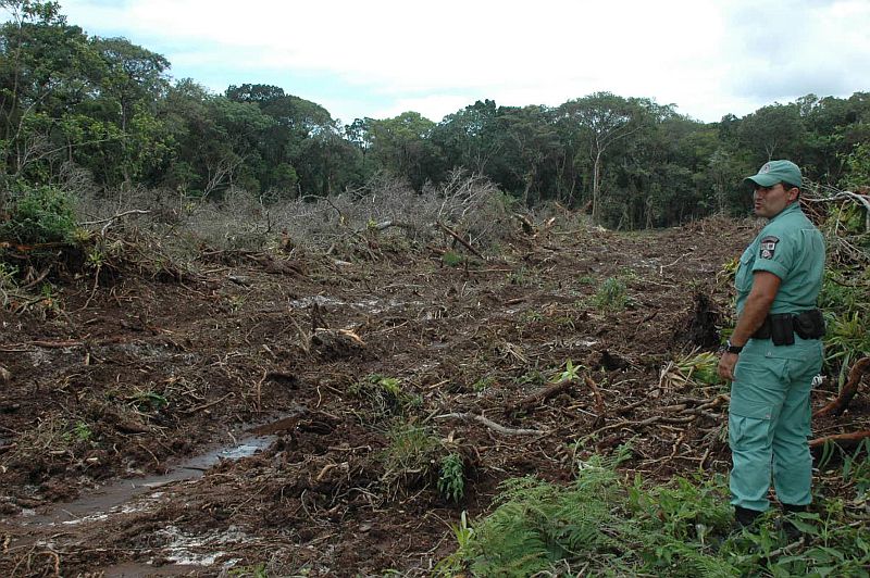 Área desmatada seria loteada e ocupada por residências irregulares. | Sargento Daniel Macena