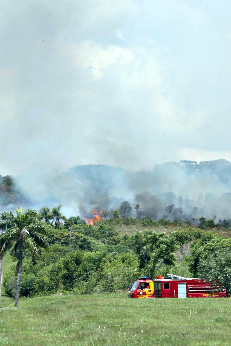 Incêndio teve origem perto do centro de visitas e foi controlado 4 horas depois | Ivonaldo Alexandre/Gazeta do Povo