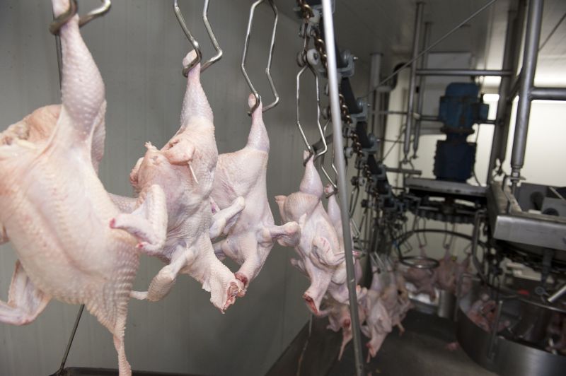 Abatedouro unificou marcas e GTFoods vai investir R$ 50 milhões | Fábio Dias/Gazeta Maringá