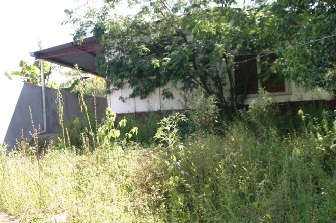 A penúria da canoagem em três atos: a sede do antigo clube de Roberto Maehler está cercada por mato, sem água, luz e com equipamentos defasados |