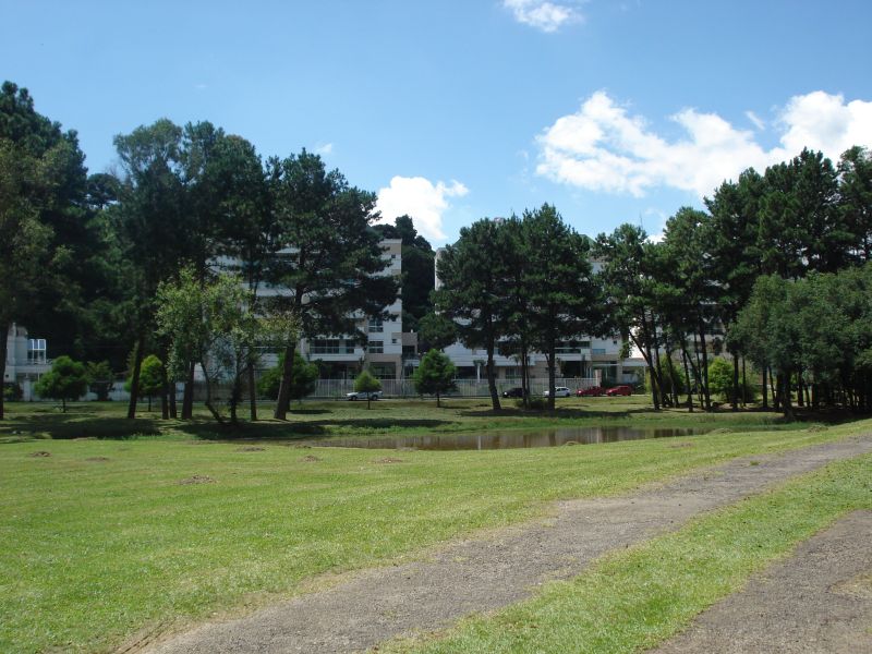 | Marcela Campos/Gazeta do Povo