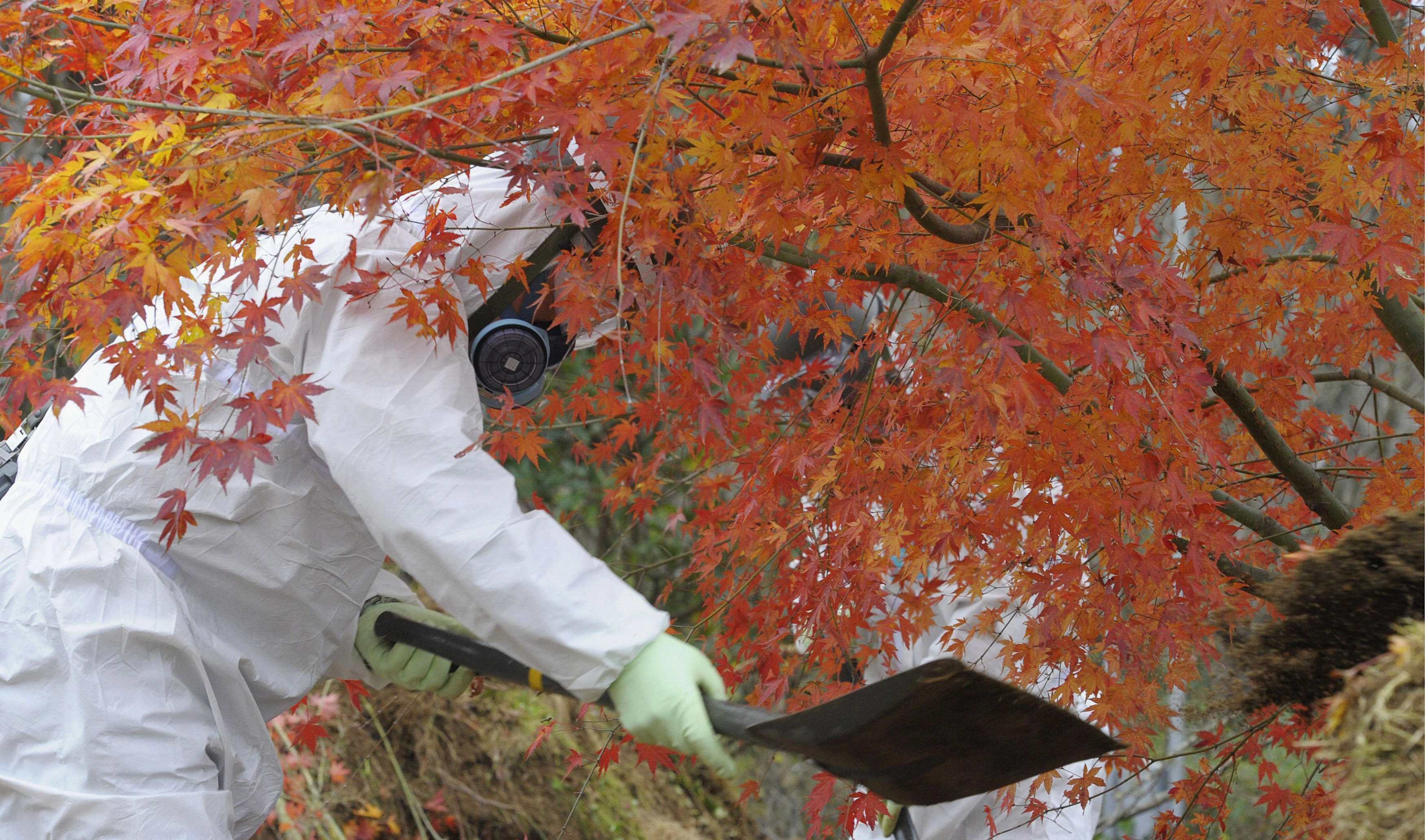Homens descontaminam solo ao redor da Usina de Fukushima no Japão | REUTERS/Kyodo