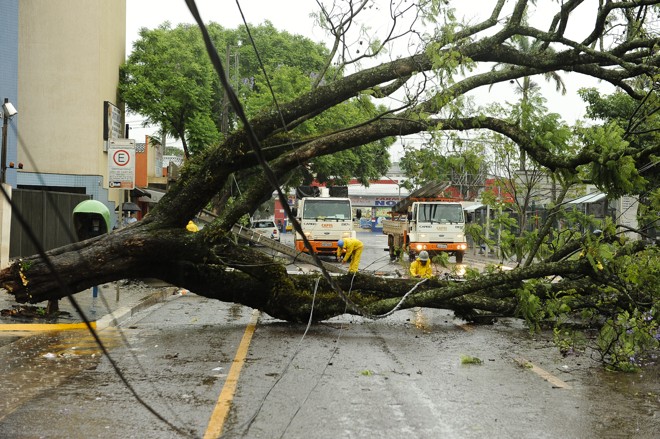 No final de 2010, chuva e ventos fortes derrubaram árvores e postes em Maringá | Fábio Dias