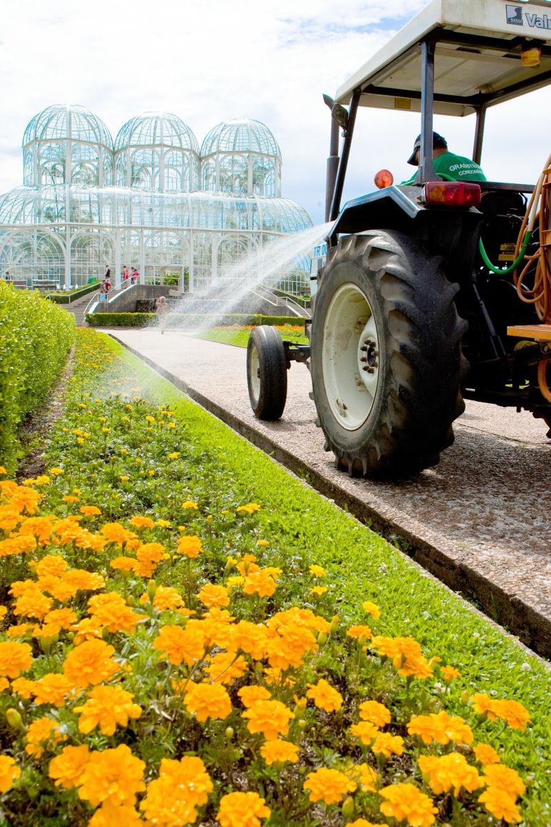 | Henry Milleo/Gazeta do Povo