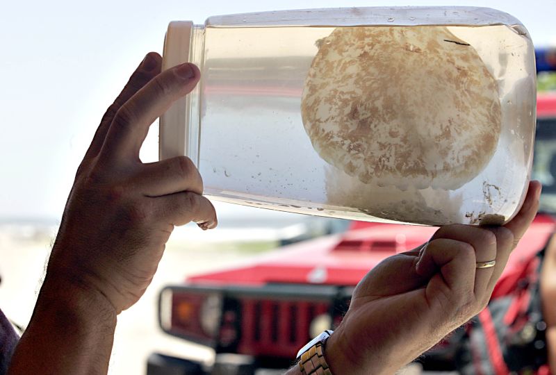 Agentes da Secretaria Estadual de Saúde coletaram ontem amostras de animais em Matinhos | Marco André Lima/Gazeta do Povo