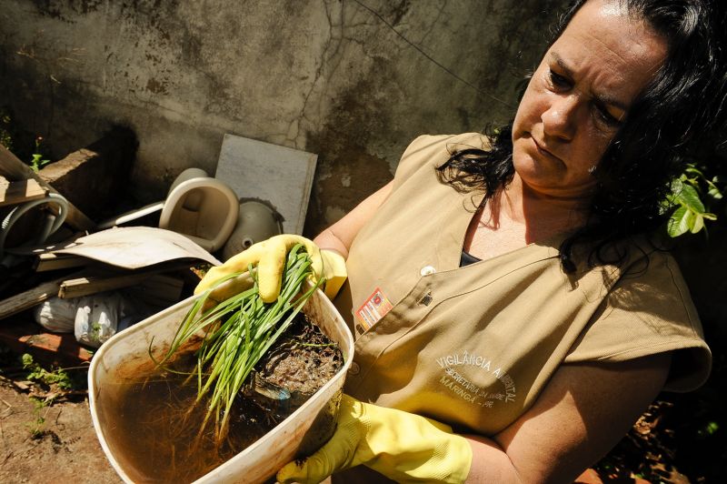 Maioria dos municípios listados pela Sesa não possui agentes da dengue suficiente para evitar epidemia | Fábio Dias / Arquivo Gazeta do Povo