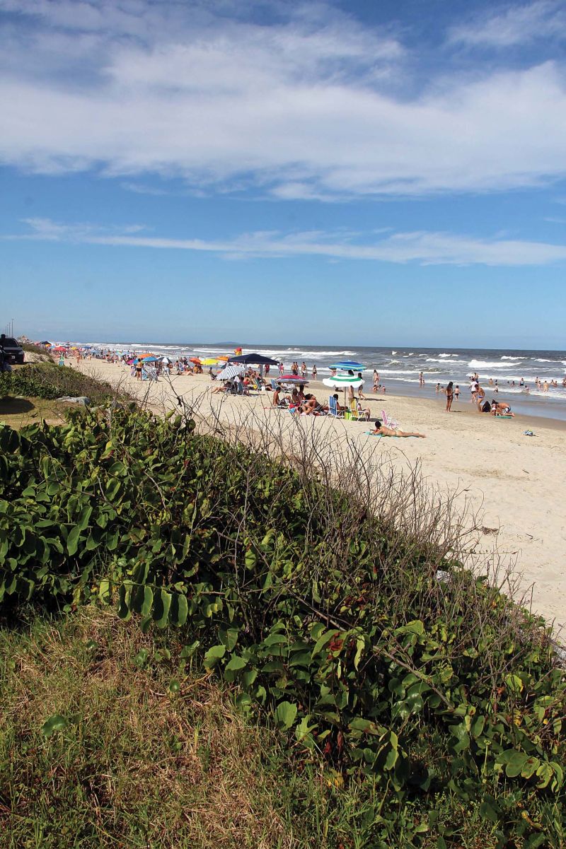 A restinga ajuda a conter o avanço da areia e a entrada do mar | Fotos: Walter Alvez/Gazeta do Povo