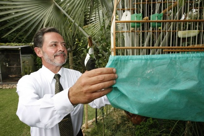 Moro também gosta de pássaros. Um deles foi batizado de Evangelino |