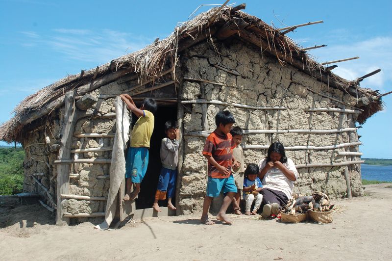 Tribo dos guarani mbyá, na Ilha da Cotinga | Sandra Terena/ Gazeta do Povo
