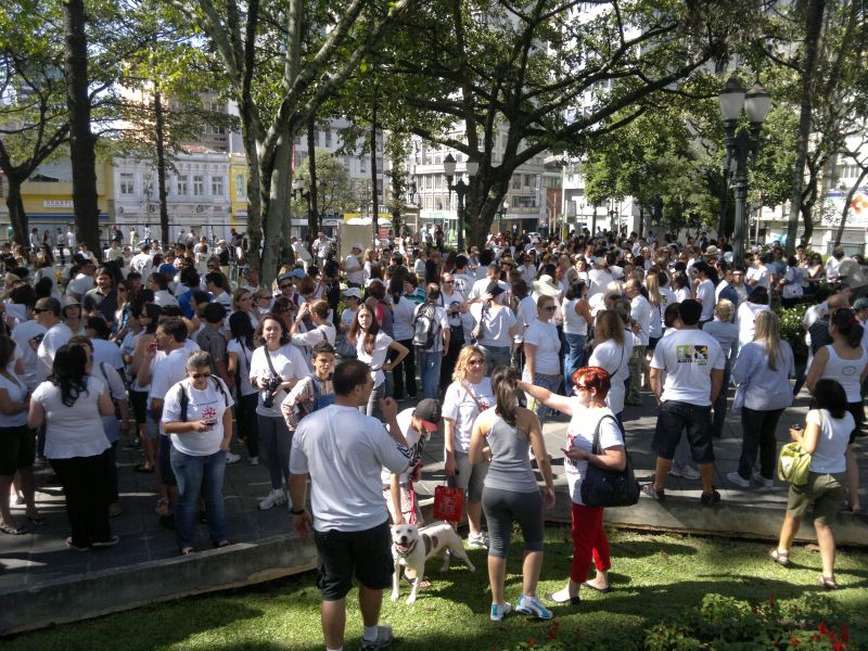 Cerca de mil pessoas participaram do protesto em Curitiba | Fernanda Trisotto