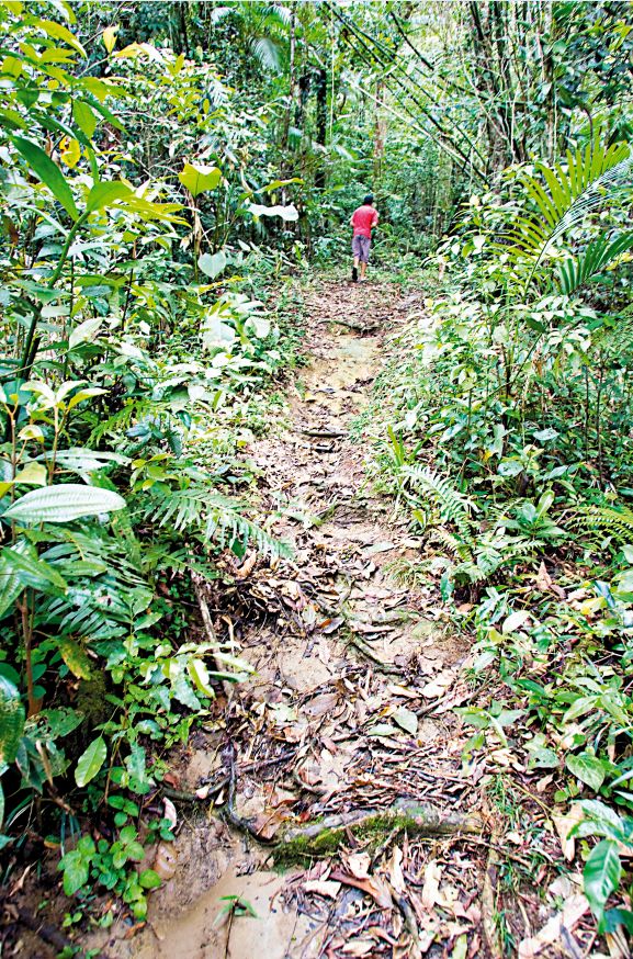 A caminhada, de 20 minutos, é feita dentro do Parque Nacional Saint Hilaire/Lange | Fotos: Marco Andre Lima/ Gazeta do Povo