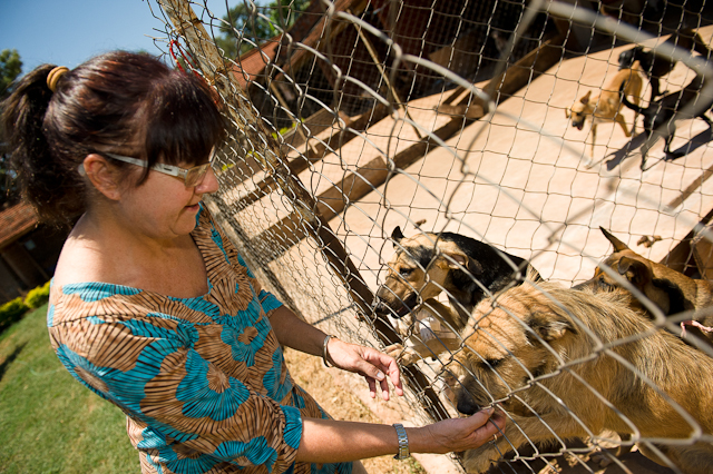  | Fabio Dias - Gazeta do Povo