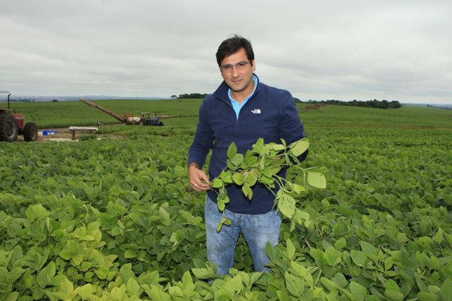 Gustavo Ribas Netto, de Ponta Grossa, atinge boa produtividade usando sementes precoces, que tiveram quebra no Oeste |