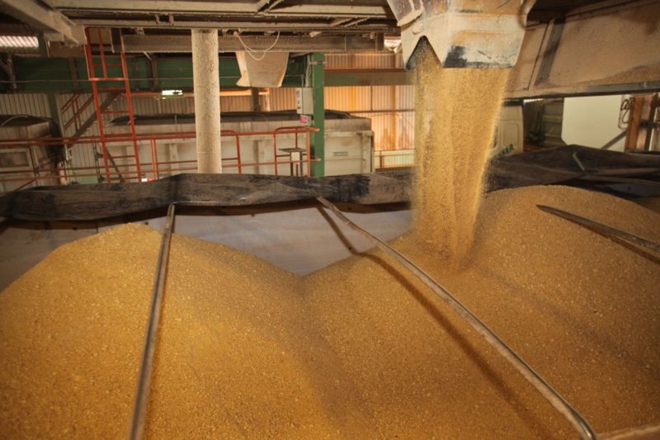Até 2013, a Cargill vai inaugurar uma nova fábrica em Castro | Dirceu Portugal/ Gazeta do Povo