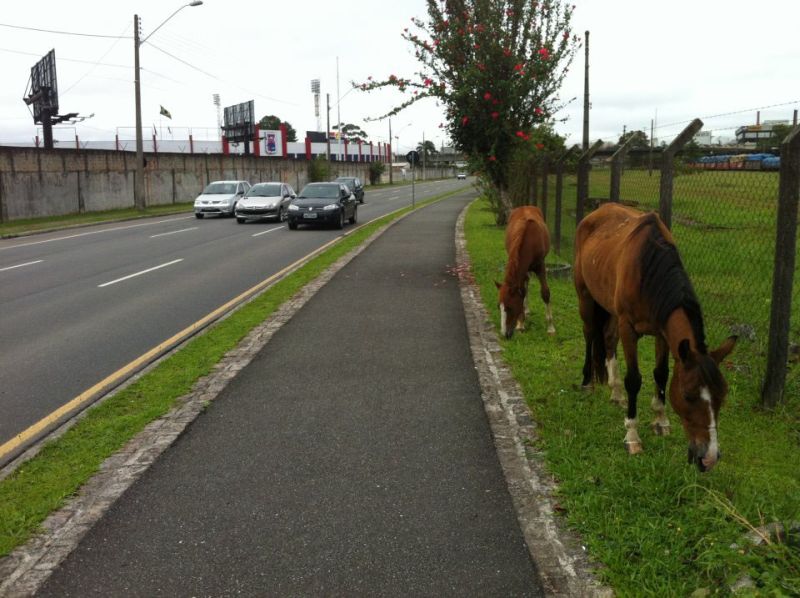 | Alexandre Costa Nascimento/GP