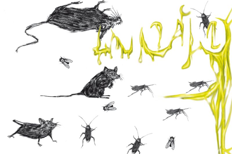 | Ilustração: Robson Vilalba